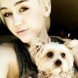 Le coeur de Miley est bris�...